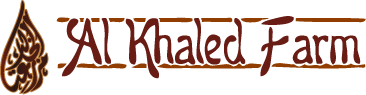 alkhaled