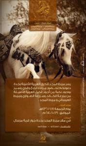 Jeddah Auction 2014