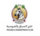 Qatar Straight Egyptian Horse Show 2015